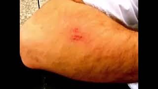 Third Eye Blind - Faster