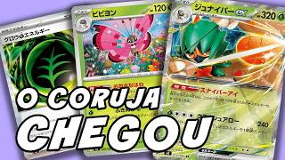 Deck do NOVO Decidueye ex - Equilíbrio Perfeito - Pokemon TCG Live Gameplay