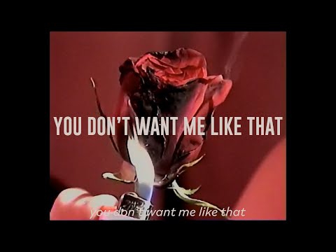 Rachel Bochner & XANA - You Don't Want Me Like That (Official Lyric Video)
