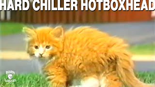 Hard Chiller – Hotboxhead