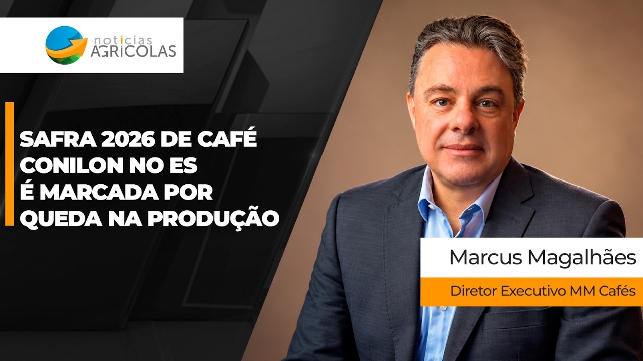 Safra 2026 de café conilon no ES é marcada por queda na produção