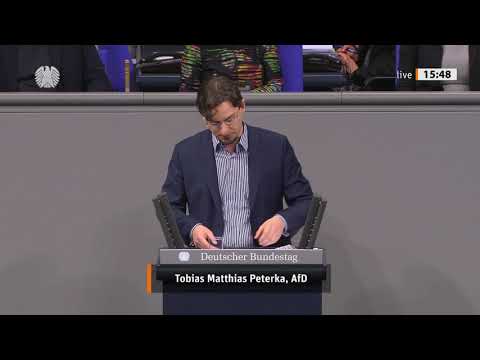 Tobias Matthias Peterka - Rede vom 27.11.2020 - Reform der Wirtschaftsprüfung