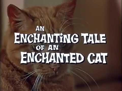 afbeelding The Three Lives of Thomasina trailer (1963)