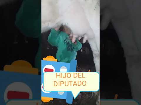 Humor: el hijo del Diputado.