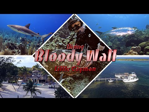Diving Little Cayman Island, The Bloody Wall