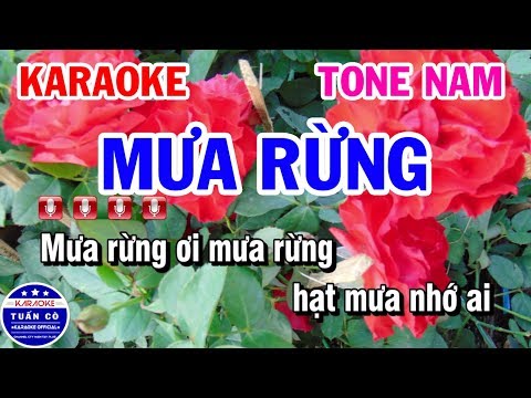 Karaoke Mưa Rừng | Nhạc Sống Tone Nam Tuấn Cò Karaoke