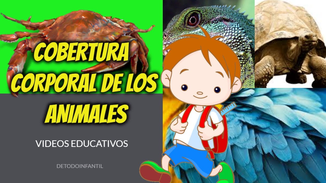 CUBIERTA CORPORAL DE LOS ANIMALES / VIDEOS EDUCATIVOS PARA NIÑOS