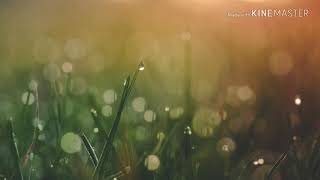 Ro Ransom ft Kensei (Lyric video) Floetry