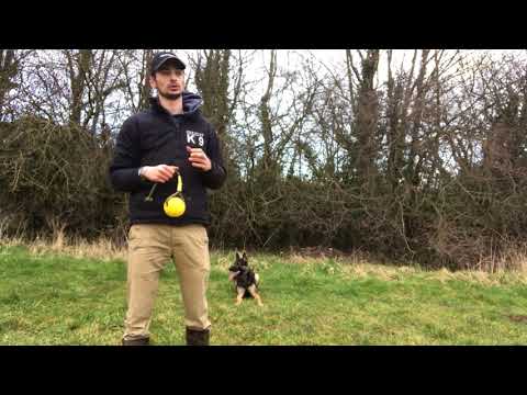 Teaching The Out - The Freeze Method