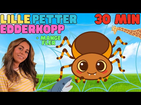 Lille petter edderkopp og mange fler - samling av kjente Norske barnesanger