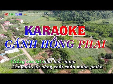 Cánh Hồng Phai(DJ REMIX cực mạnh)  - Karaoke Nhạc Sống  | Karaoke Chất lượng cao - 4K Ultra HD