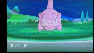 【計算狂いな実況】ポケットモンスターYを実況プレイ　Part46