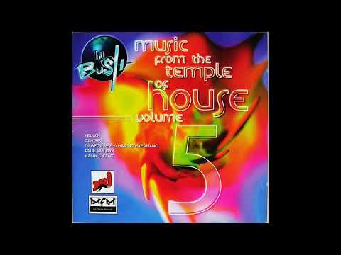 La Bush Music From The Temple Of House Vol 5 Cd 2 Mixed By Laurent Top (1998)