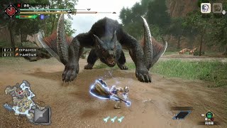 モンスターハンターライズ　闘技場03 ハンマー　Sランク　5'49