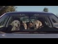 Subaru Dog Tested | Subaru Commercial | Phone Navigation
