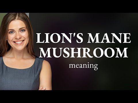 Unveiling the Mysteries of Lion's Mane Mushroom