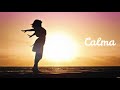 Calma (Alan Walker Remix) Calma (Alan Walker Remix)