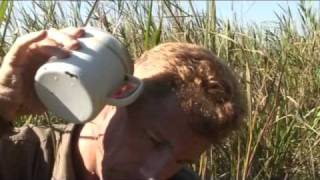 Remote River Man - How to extract a bug from your ear...