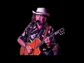 Willie Nelson live at Carl's Corner 2005 - Working Man Blues (Jody Payne)