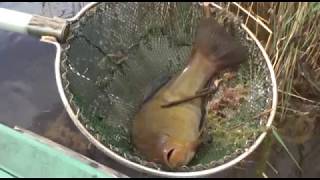 TERMÉSZETVÉDELMI KÖRKÉP 