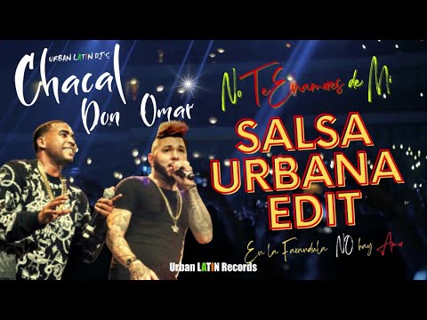 Chacal, Don Omar - No Te Enamores De Mi - Salsa Urbana Edit 2024