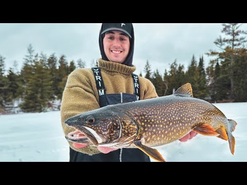 Aggressive Early-Ice Lake Trout (Nose-to-Toes)