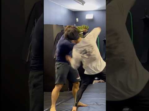 実戦で使えるガードブレイク #mma #格闘技 #kungfu #キックボクシング #ボクシング #総合格闘技 #合気道 #武道 #武術 #selfdefense #喧嘩 #護身術 #柔術