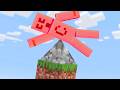 Minecraft But It S One Deadly Block