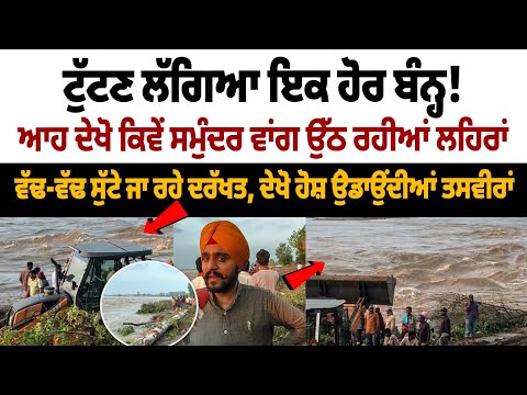 Flood Danger Beas River: Another dam about to break! Look how the waves are rising like ocean