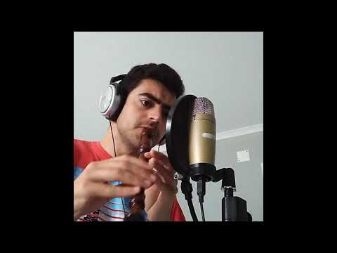 Lady Gaga, Bradley Cooper - Shallow (Recorder Cover by Hével Martin)