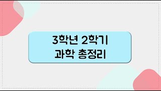 [키워드를 잡아라] 초등 과학 | 3학년 2학기 총정리 | 2학기 복습 | 1~5단원 | 키워드 정리