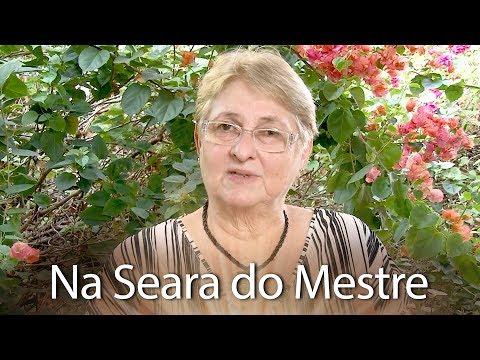 Livros que Iluminam Indica - Livro Na Seara do Mestre