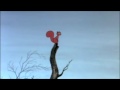 Sword In The Stone Sad Squirrel Scene