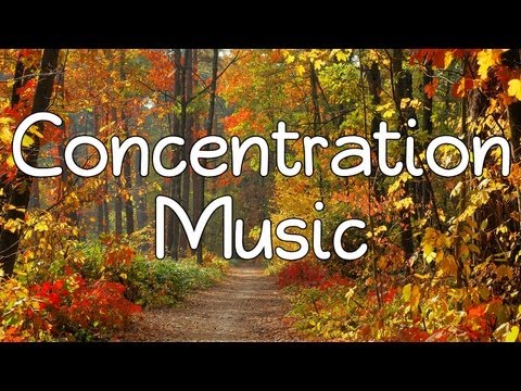 47 Mins of Concentration Music - Relaxation music nature sounds calming & peaceful music rain sounds