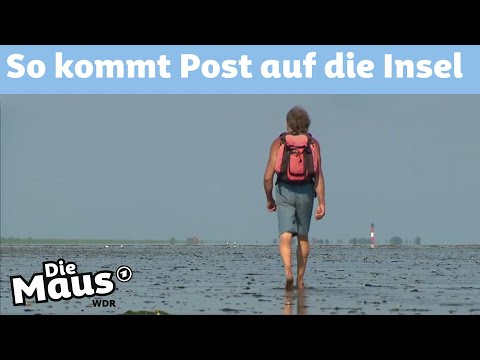 Barfuß durchs Watt als Wattpostbote | DieMaus | WDR