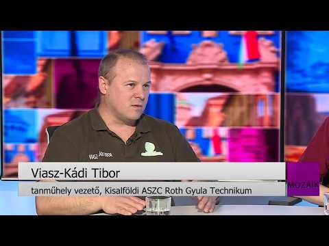 Mozaik – Rothos sikerek a Szakma Sztár Fesztiválon – vendég: Hardi János és Viasz-Káli Tibor