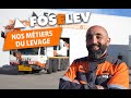 FOSELEV Présentation Des Métiers Du Levage
