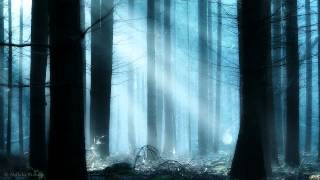 MDB   BEAUTIFUL VOICES 020 LISA GERRARD SPECIAL EDITION HQ mpg