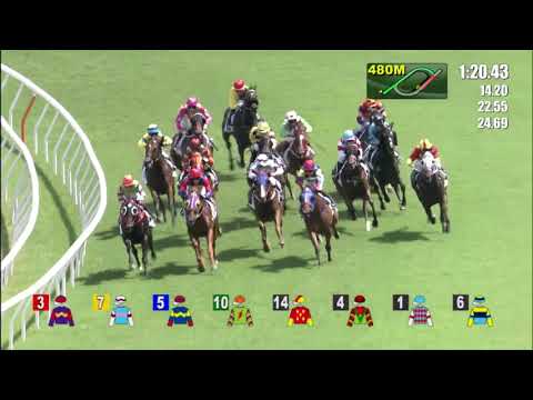 16/7/2022 (830) Turquoise Alpha - Z Purton