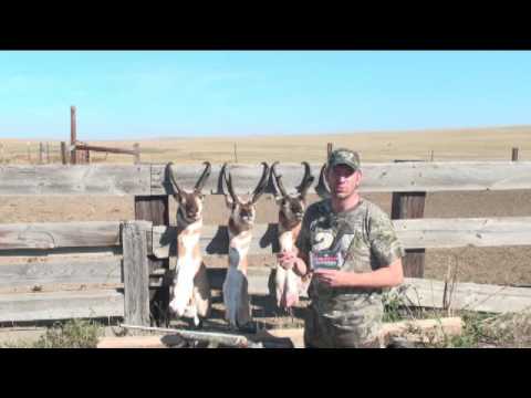 30-30 Winchester Federal Fusion 150gr Ballistics Gel Ammo Test