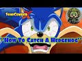 HILARIOUS SoniCemberX Season 1 Episode 24 How To Catch A Hedgehog REVIEW