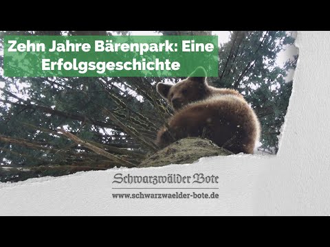 Zehn Jahre Bärenpark: Eine Erfolgsgeschichte