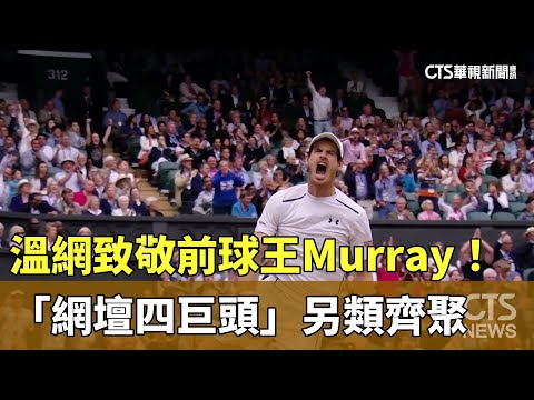 溫網致敬前球王Murray！　「網壇四巨頭」另類齊聚