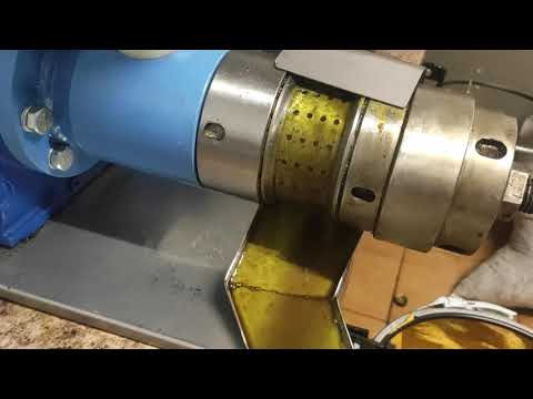 Tłoczenie oleju z pestek dyni bezluskowej