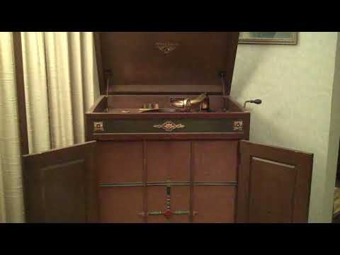 EUBIE BLAKE DICK ROBERTSON - MY BLUE DAYS BLEW OVER - ROARING 20's VICTROLA 8-9