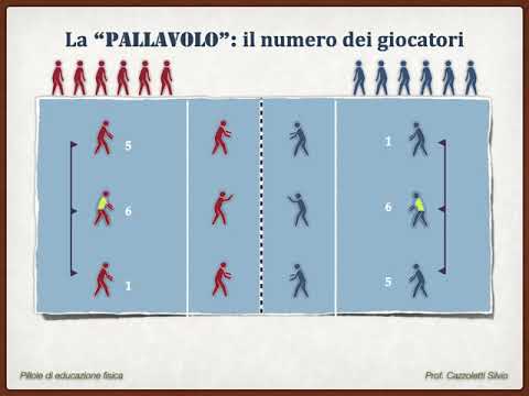 3 10b Pallavolo: giocatori, rotazioni e ruoli
