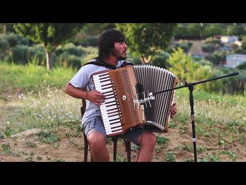 D. Saccente & F. D'Alessandro
