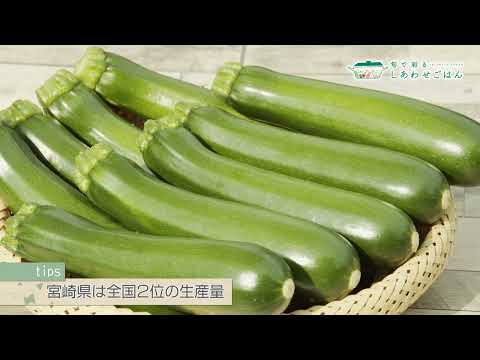 2022年12月2日(金)放送 ズッキーニ生産者の声
