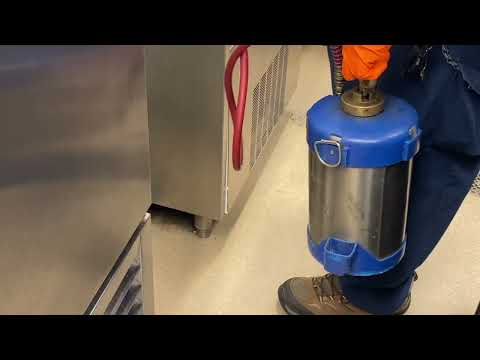 Checking on the Cockroach Infestation at Restaurant in Dayton, NJ