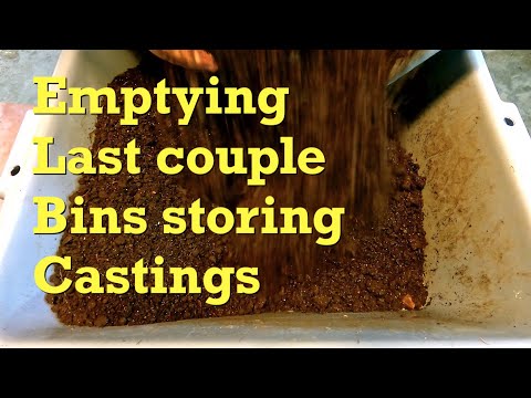 3rd & final emptying of tubs holding finished worm castings - farm vermicompost